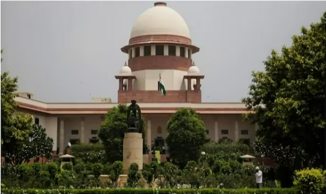 Big win for AAP as SC says LG-nominated members can't vote in Delhi mayor polls 