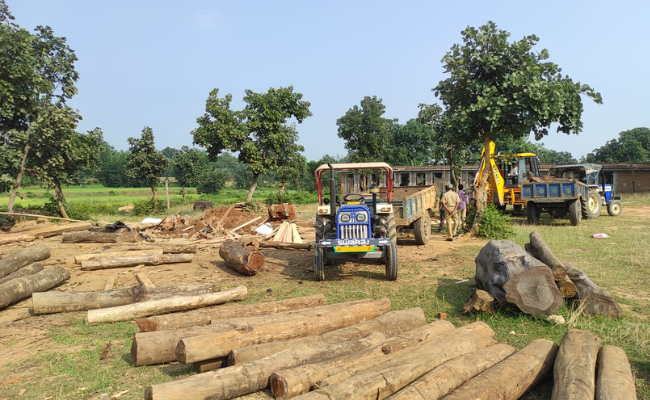 Illegal sawmill in Hazaribagh busted; timber seized