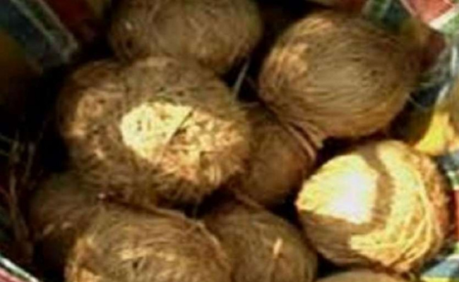 पंचायत चुनाव के पहेल भांगड़ में बम से भरा बैग बरामद