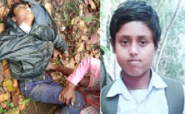 हाथियों के हमले से माध्यमिक परीक्षार्थी की मौत, सीएम ममता ने जताया शोक
