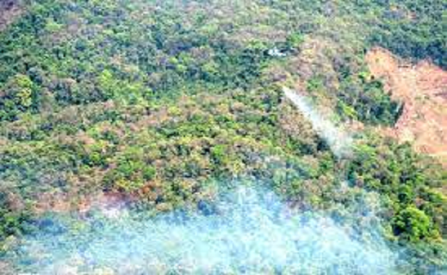Navy, IAF helicopters deployed in Goa Mhadei fires ; 28 extinguished, 3 still active, says minister