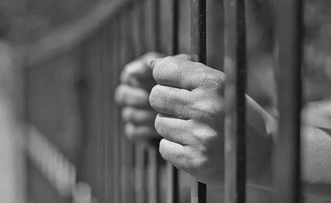 Five men in UP get 7-yr jail term for cruelty to animals