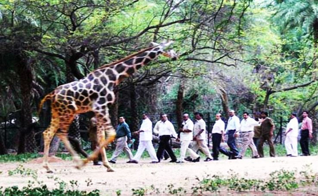 Committee inspects Alipore Zoo for animals' living conditions