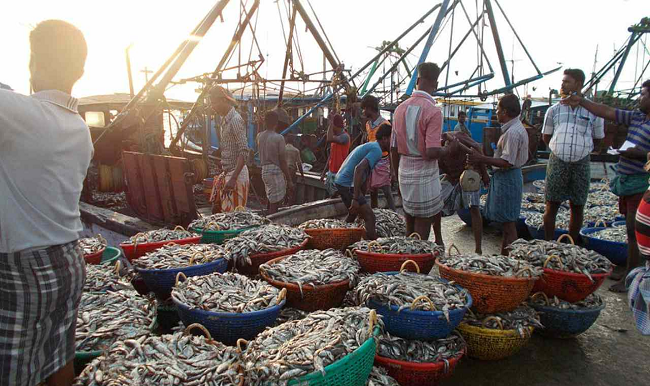 West Bengal bans deep sea fishing for 61 days to boost fish reproduction