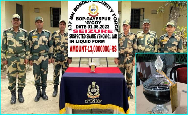BSF seizes Rs 13 crore worth of snake venom on Bangladesh border, 'Made in France' written on jar