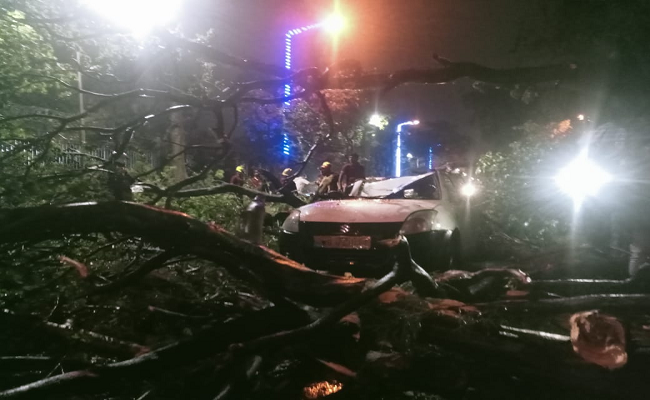 South Bengal hit by severe thunderstorm and gusty winds, causing destruction and uprooting trees
