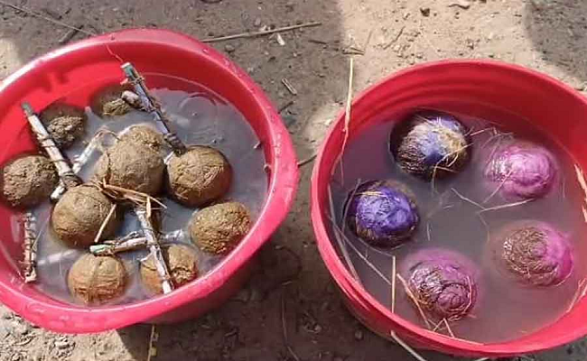 Bomb-laden cars seized, 8 arrested in Bankura's Indus area