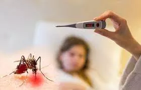 बंगाल में डेंगू से हो चुकी है छह लोगों की मौत, ढाई हजार संक्रमित