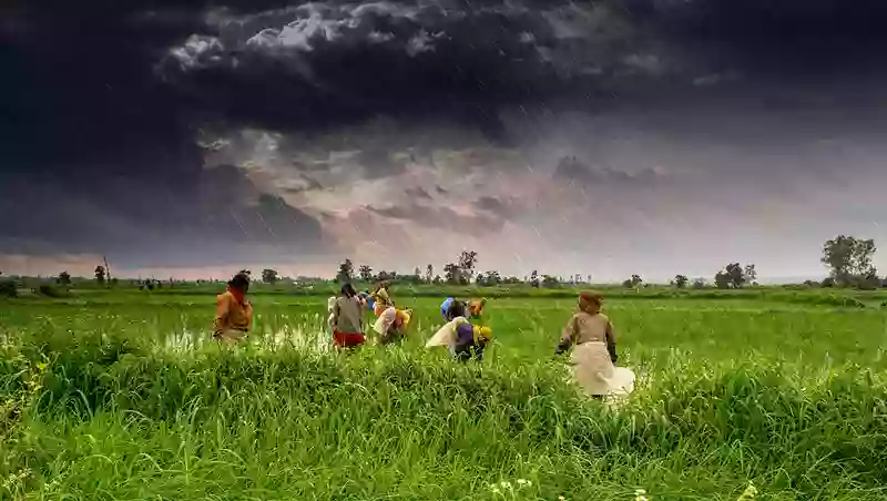 Deficient monsoon in Bihar and South Bengal set to Improve as MET predicts Heavy Rainfall