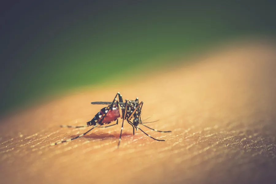 29-year-old young Doctor succumbs to Dengue in South Kolkata