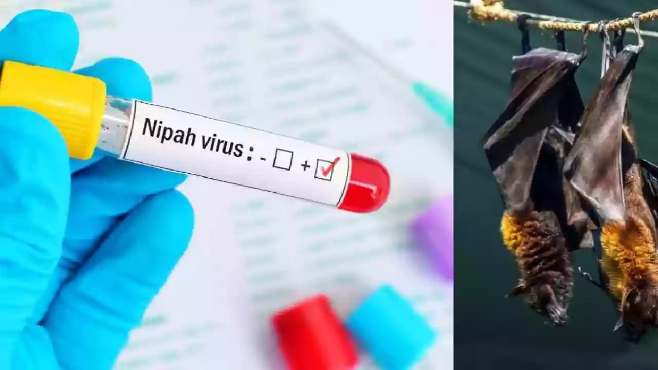 केरल में एक और निपाह संक्रमित व्यक्ति मिला, कर्नाटक ने चौकसी बढ़ाई