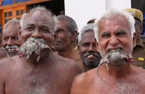 Cauvery water dispute: Tamil Nadu farmers hold dead rats in mouth, Bengaluru shuts down in protest