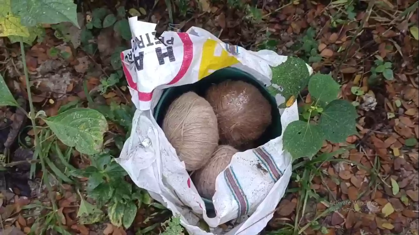 Eight to ten bombs recovered from Panapukur of Bhangar
