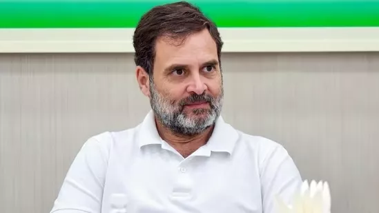 Delhi HC orders action against Rahul Gandhi for 'Pickpockets' comment