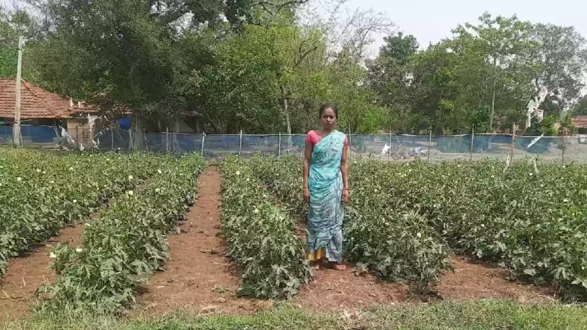 Central Government launches Lakhpati Kisan Didi scheme for women farmers' empowerment