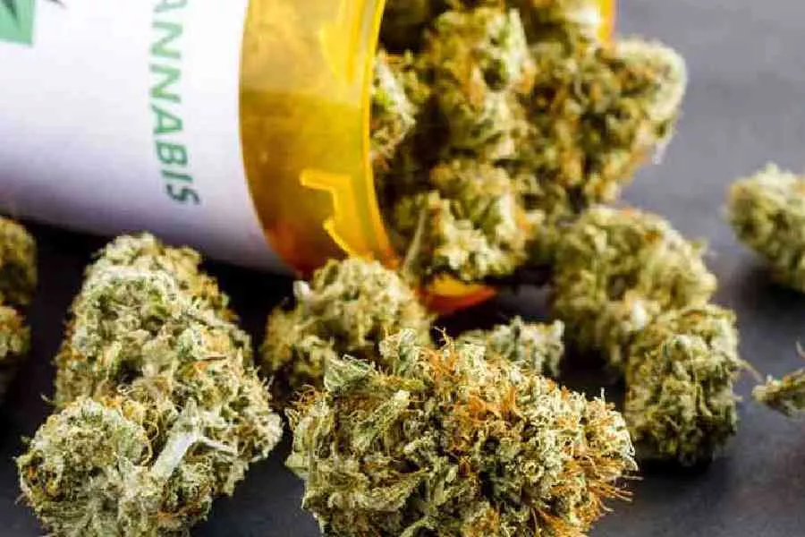 40Kg Ganja found at BJP panchayat member's residence in Howrah district