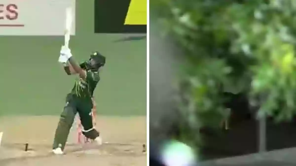 Fan runs away with Fakhar Zaman's six, unusual incident steals limelight in NZ vs PAK 2nd T20I