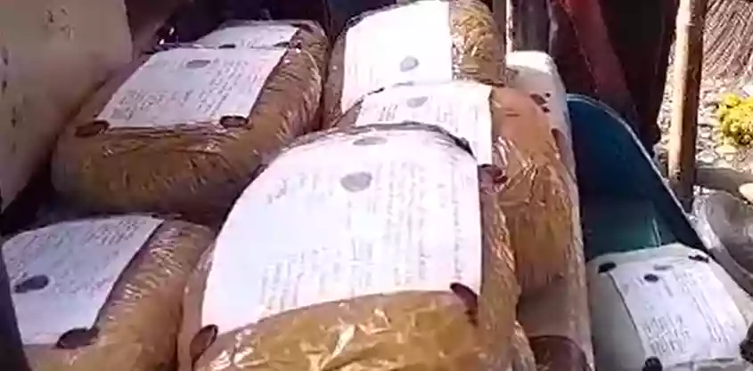 Kunal Ghosh claims BJP cultivating hemp and dealing in drugs in Bengal