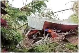  जलपाईगुड़ी में आंधी-बारिश ने मचाई तबाही चार की मौत, सैकड़ों घर तबाह