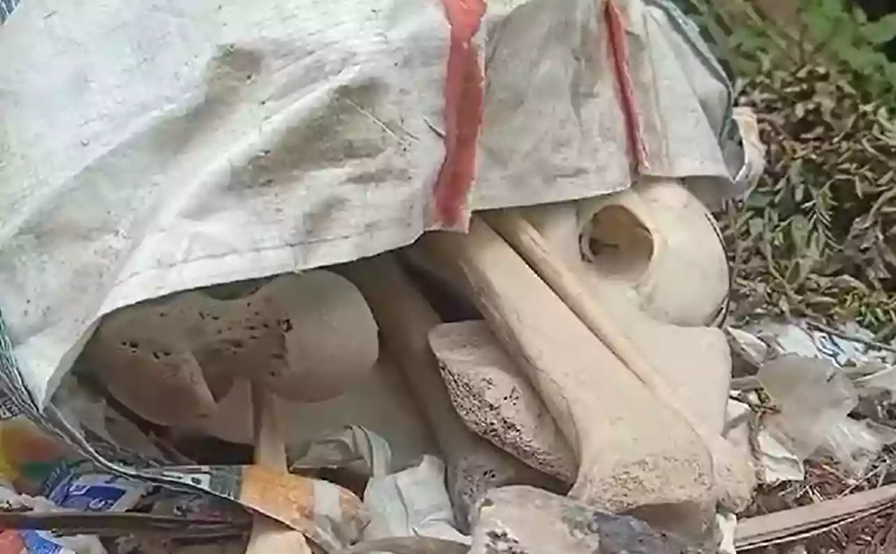 Suspicious bag with skulls and bones found in Baguiati Zarda Garden