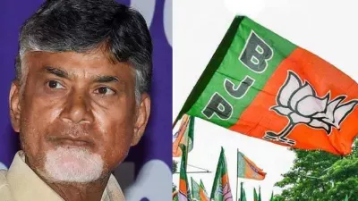  हेलो नीतीश बाबू! सीट के जुगाड़ में लगी BJP; TDP और LJP को भी मिलाया फोन