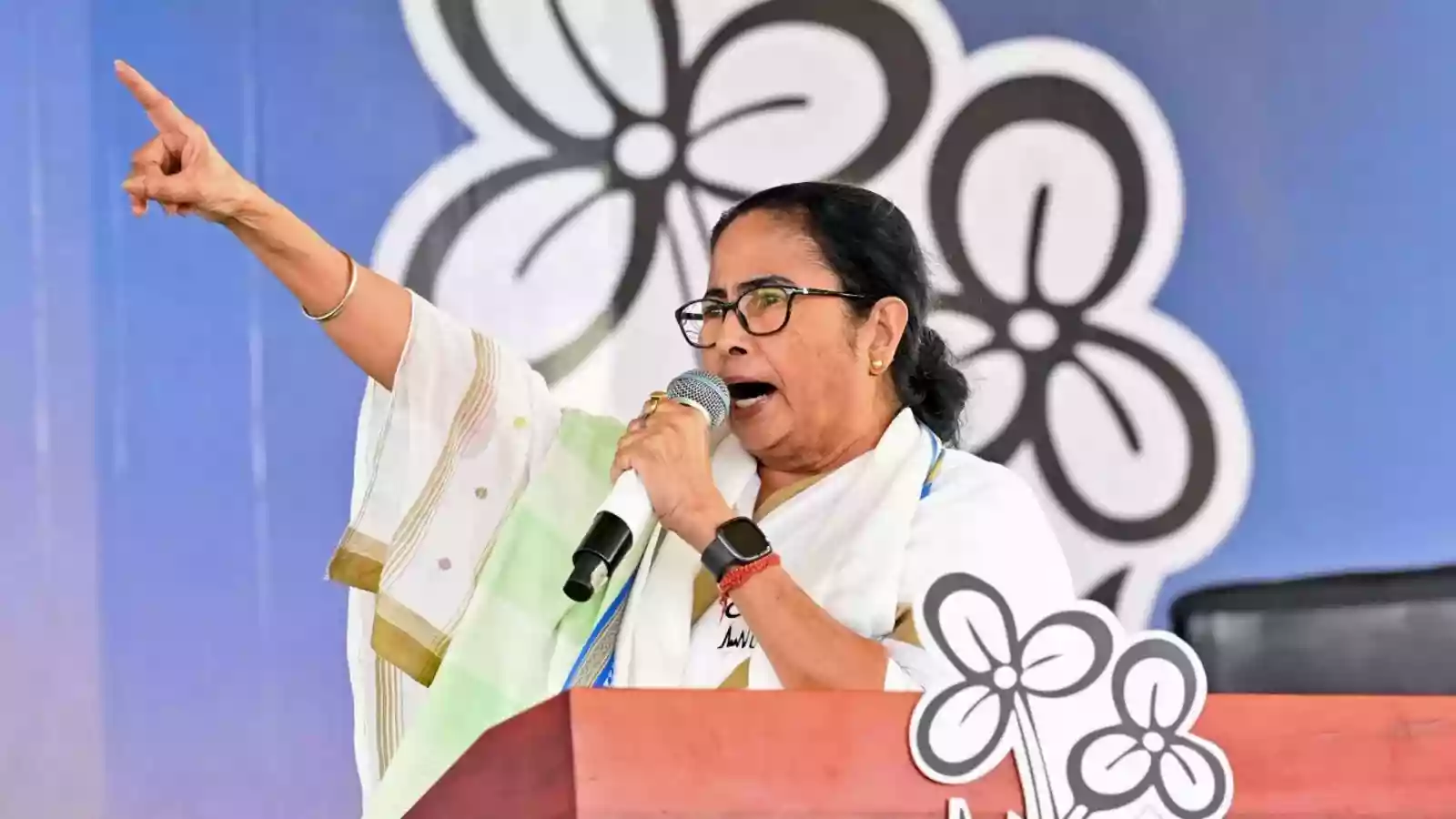 TMC's victory march, 29 seats won in Lok Sabha elections