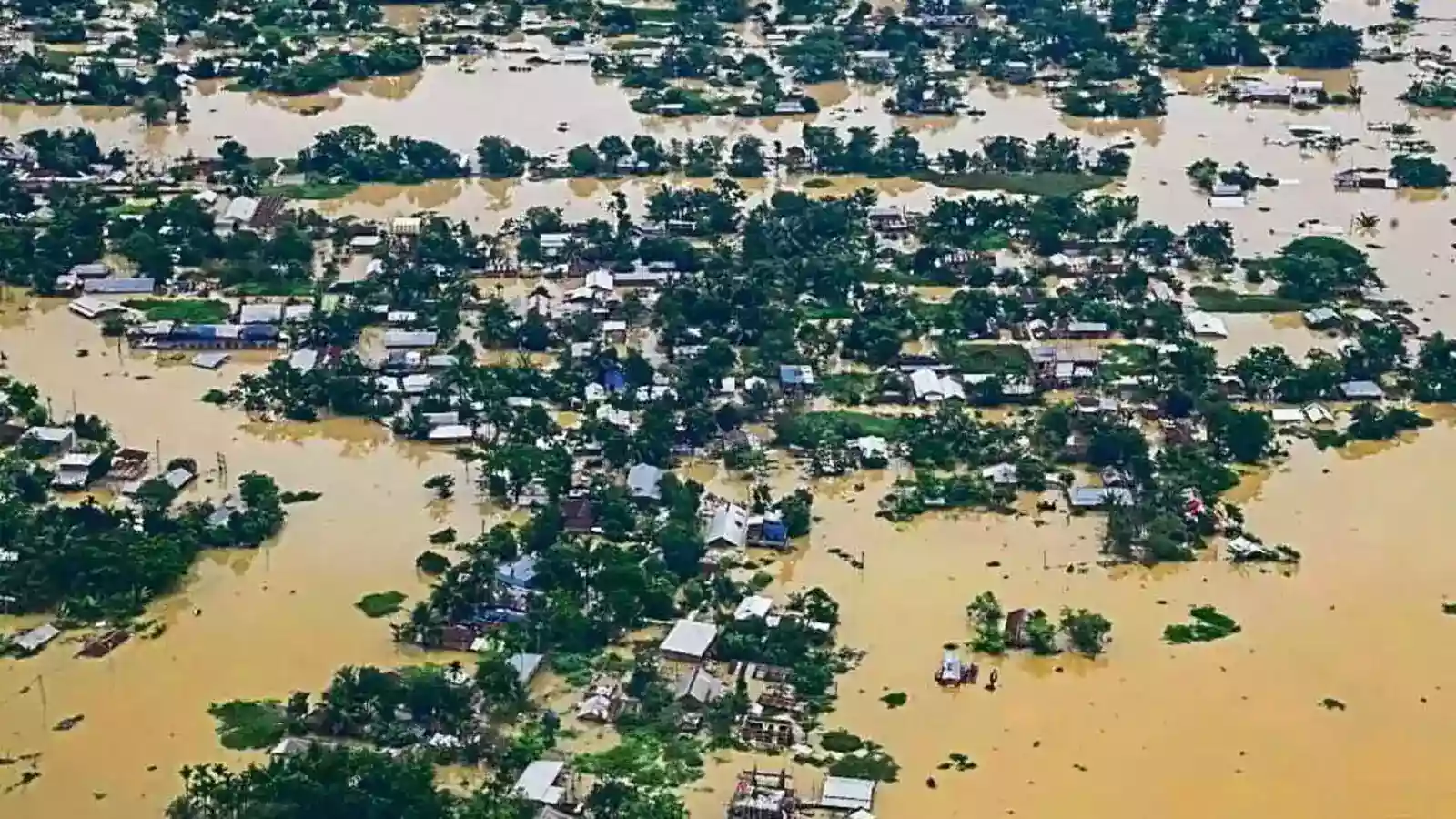 Assam floods impact Kaziranga, water enters into 61 camps