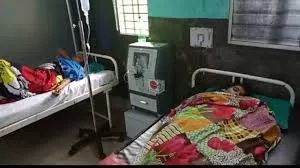 गुजरातः चांदीपुरम वायरस के 6 संदिग्ध केस, 17 दिनों में 4 बच्चों की मौत
