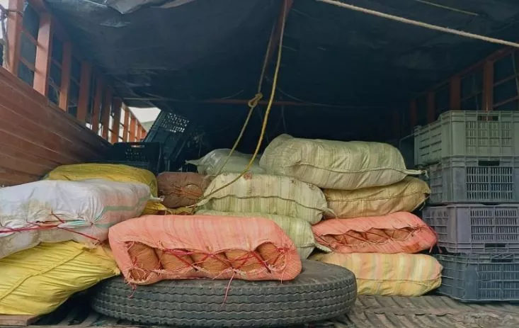 Police seize ganja worth Rs 2 crore in Ramgarh, arrest one accused