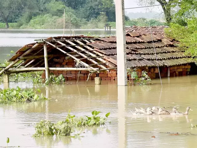 मैन मेड बाढ़, बाढ़ प्रभावित क्षेत्रों का दौरा करने निकलीं सीएम ने केंद्र पर साधा निशाना