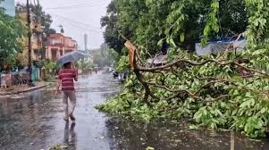 चक्रवाती तूफान दाना से पश्चिम बंगाल में 2 और मौतें, मृतकों की कुल संख्या 4 हुई