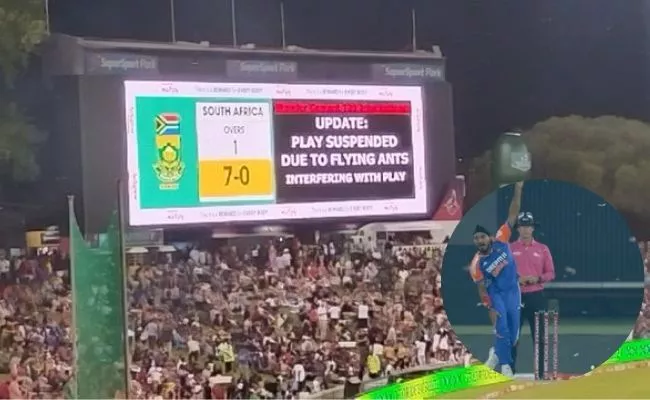 Thousands of insects on ground during India vs South Africa match, stops play