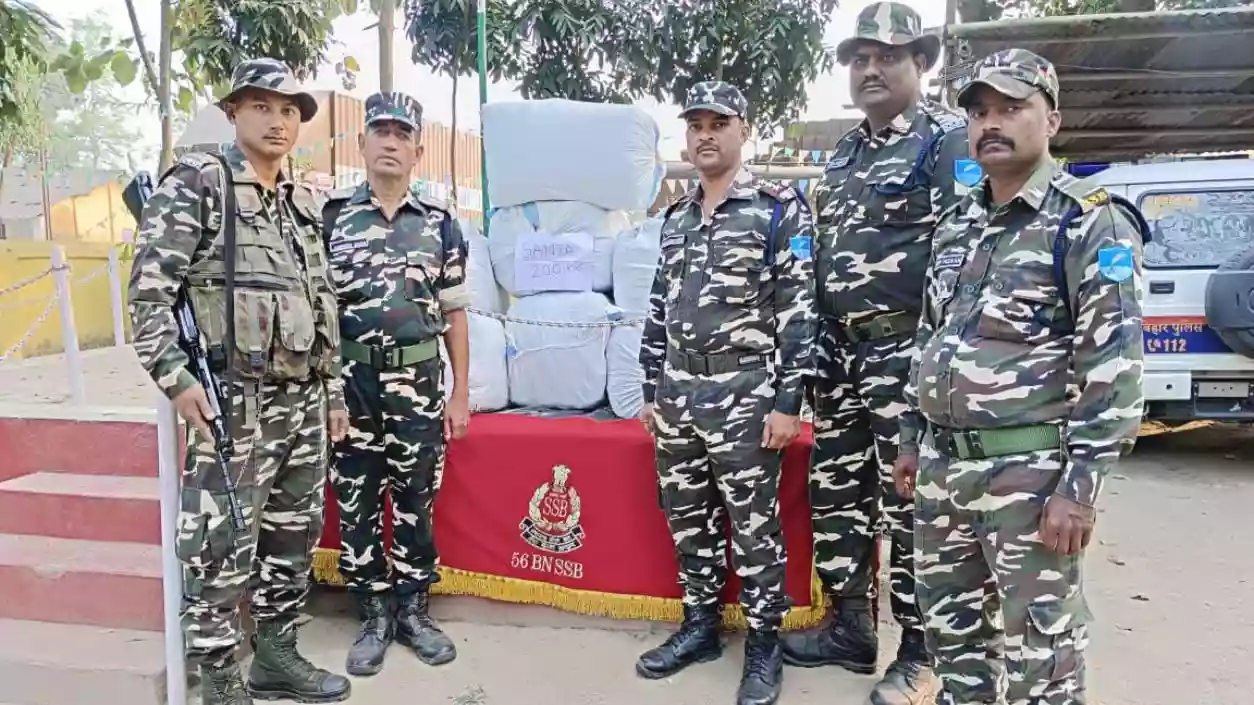 200kg cannabis seized in major India-Nepal border smuggling bust, worth ₹50 lakh