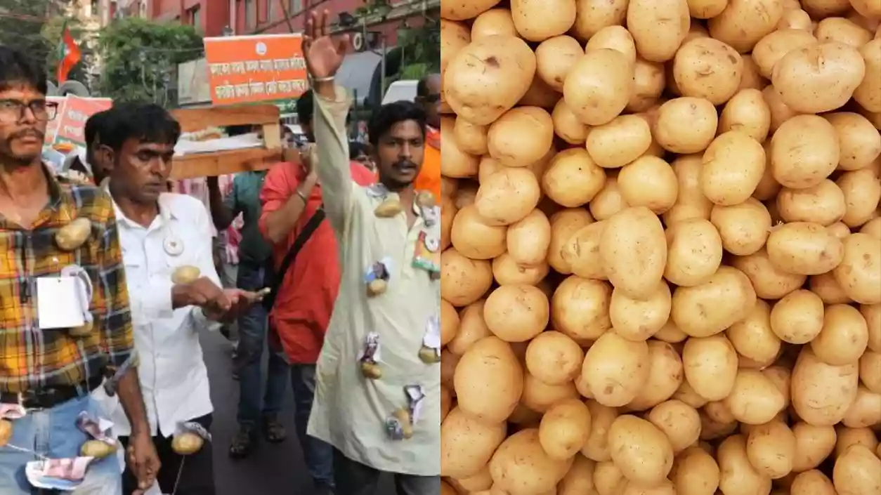 Potato traders to go on strike if Bengal doesn’t allow selling to other states