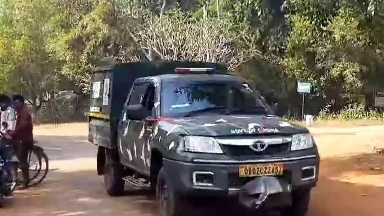 Jinat tigress spotted 30km from Jhargram border, Forest Dept intensifies search