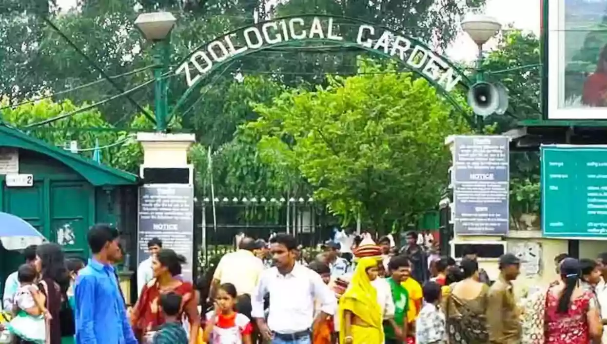 Over 68000 people visit Alipore Zoo on the last Sunday before Christmas