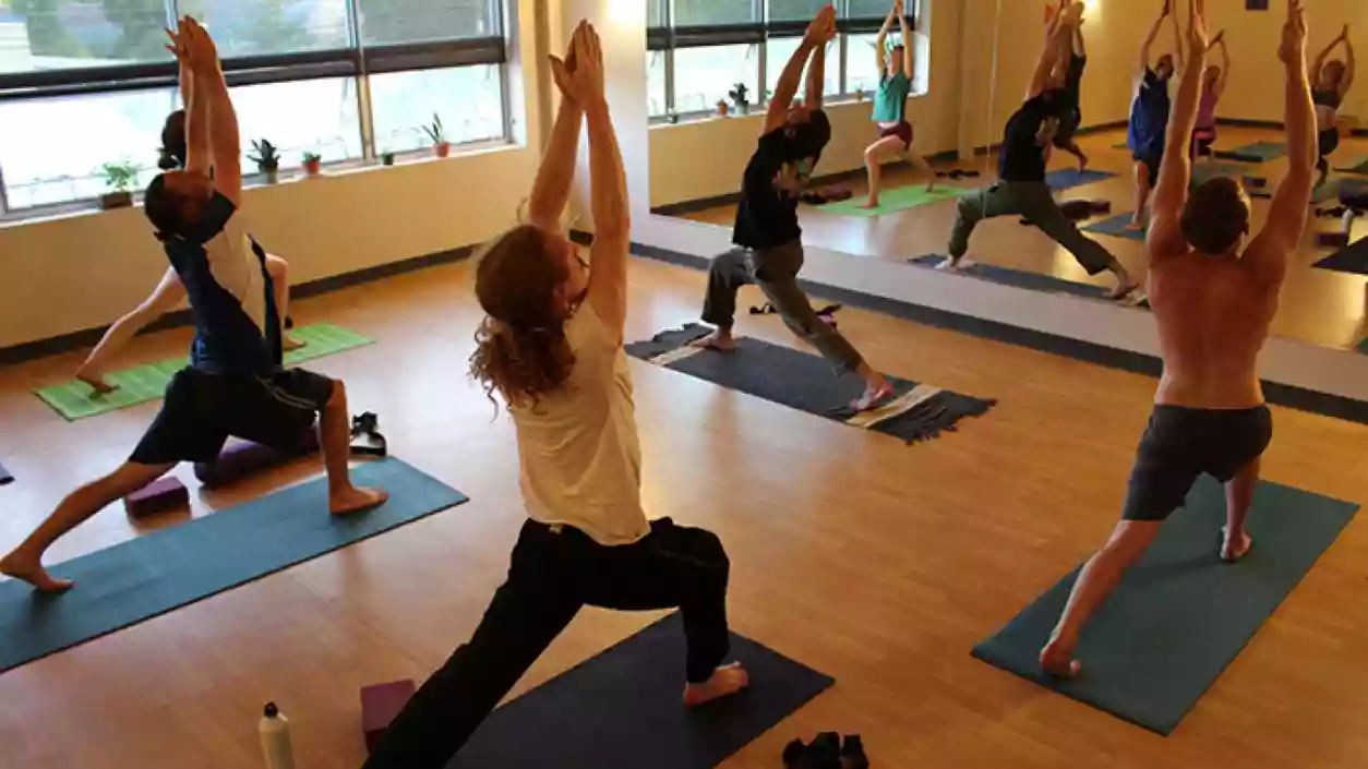 State Yoga Council cancels 24 practitioners over fraudulent certifications