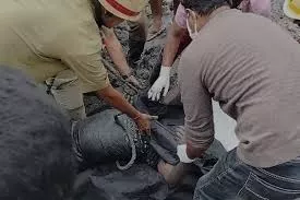 हाइड्रेंट की सफाई के दौरान तीन सफाई कर्मियों की मौत 