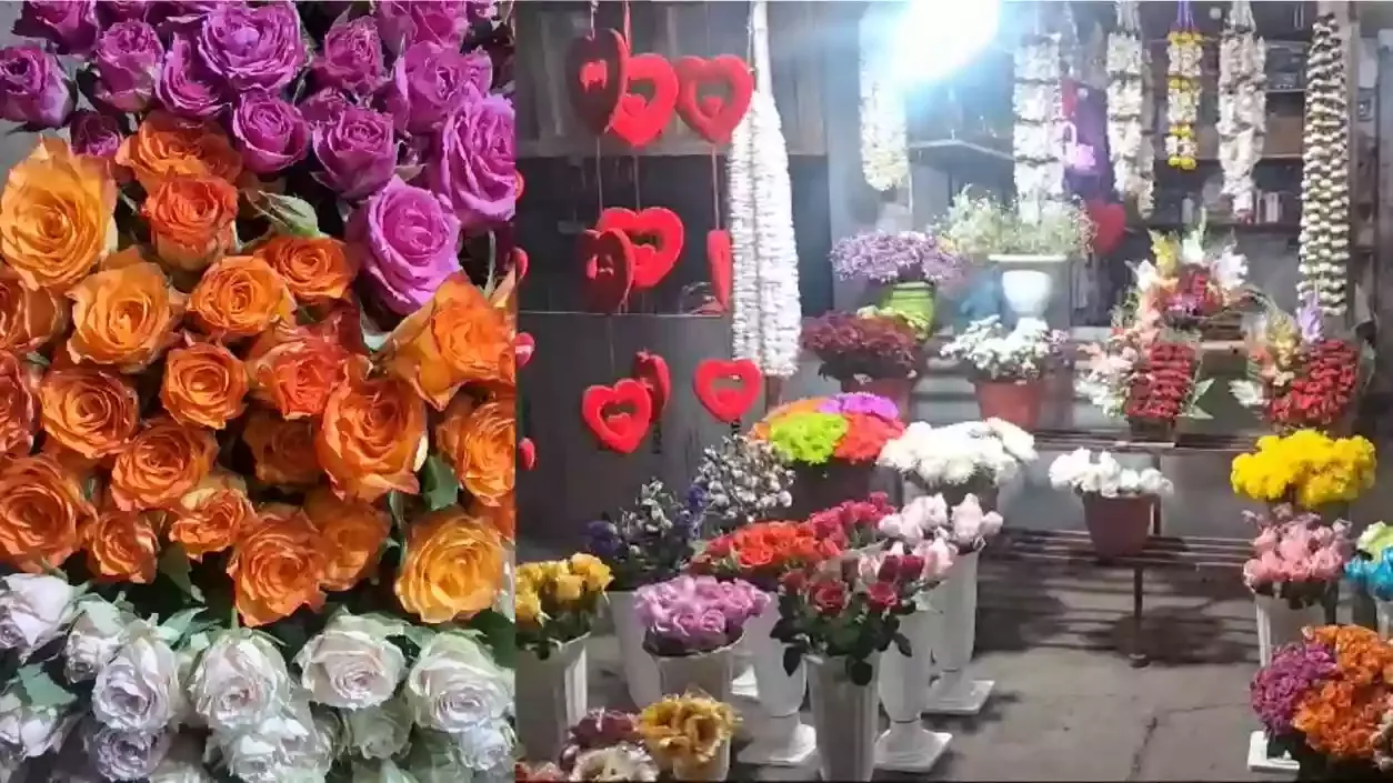 वैलेंटाइन डे पर बंगाल में गुलाब की कीमतें आसमान छू रही हैं; डच गुलाब की कीमत ₹60 तक पहुँची