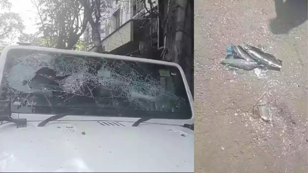 लापरवाह लग्जरी कार ने न्यू मार्केट के पास वाहनों को टक्कर मारी, चालक हिरासत में