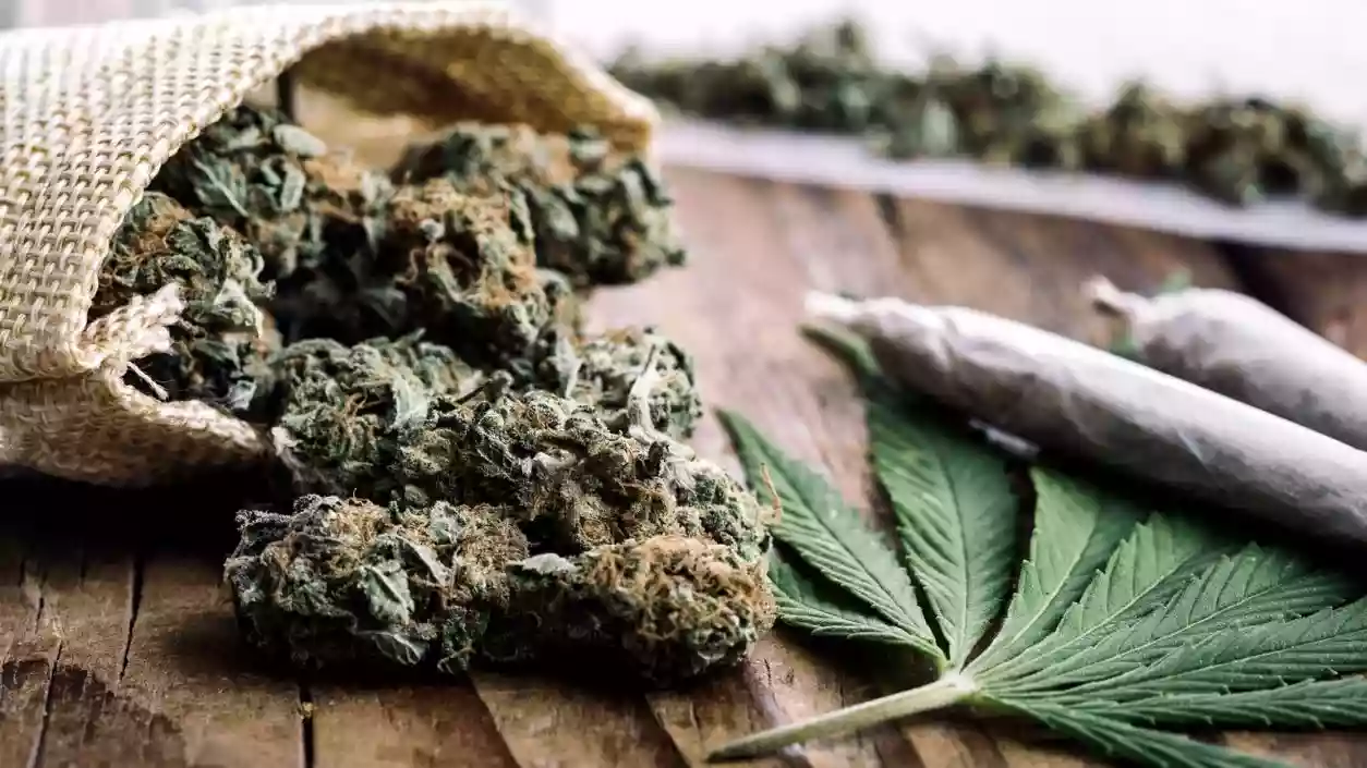 Over 124 kg ganja seized in Bengal, 6 arrested in three major NDPS crackdowns