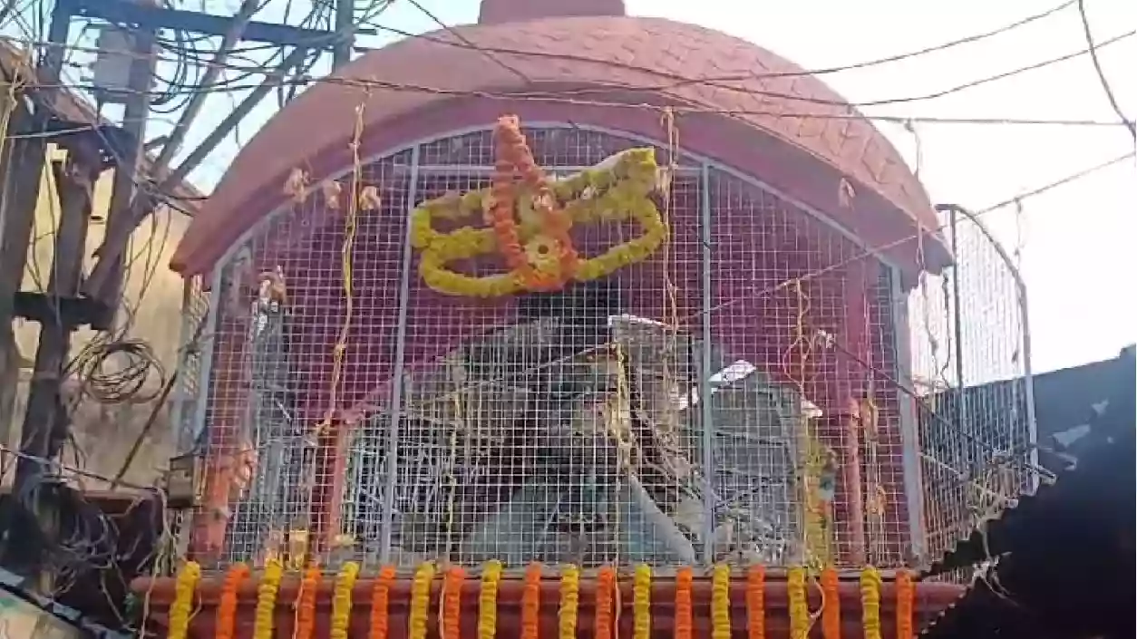 Massive rush at Tarakeswar temple on Maha Shivaratri, temple open all night | |Watch