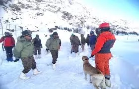 माणा हिमस्खलन : तीन शव और मिले, मृतकाें की संख्या हुई सात, अब एक लापता