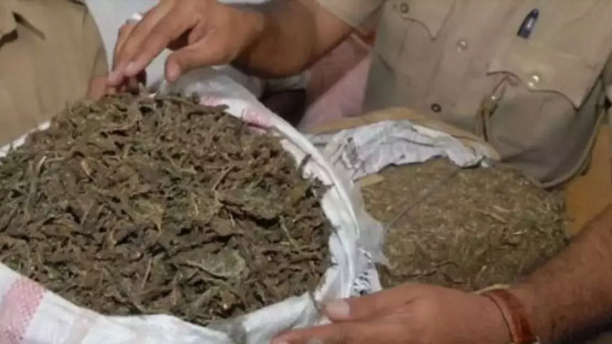 37 kg ganja found in six abandoned bags at Agartala railway station