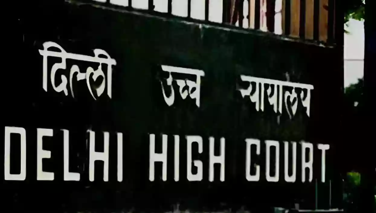 Delhi HC denies maintenance to educated woman, says law ensures equality, not idleness