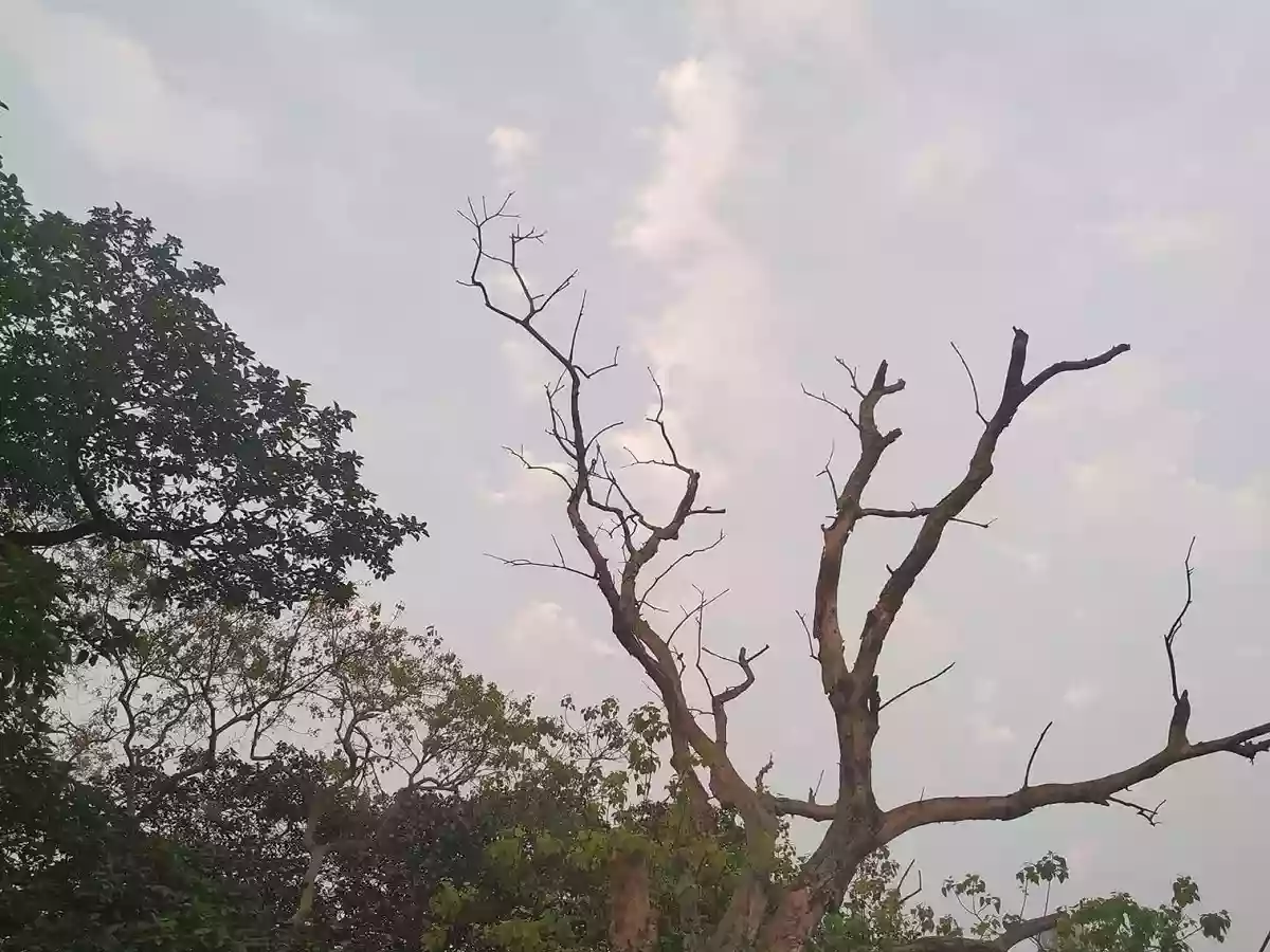 बंगाल में चार दिनों तक आंधी तूफान और बारिश की चेतावनी