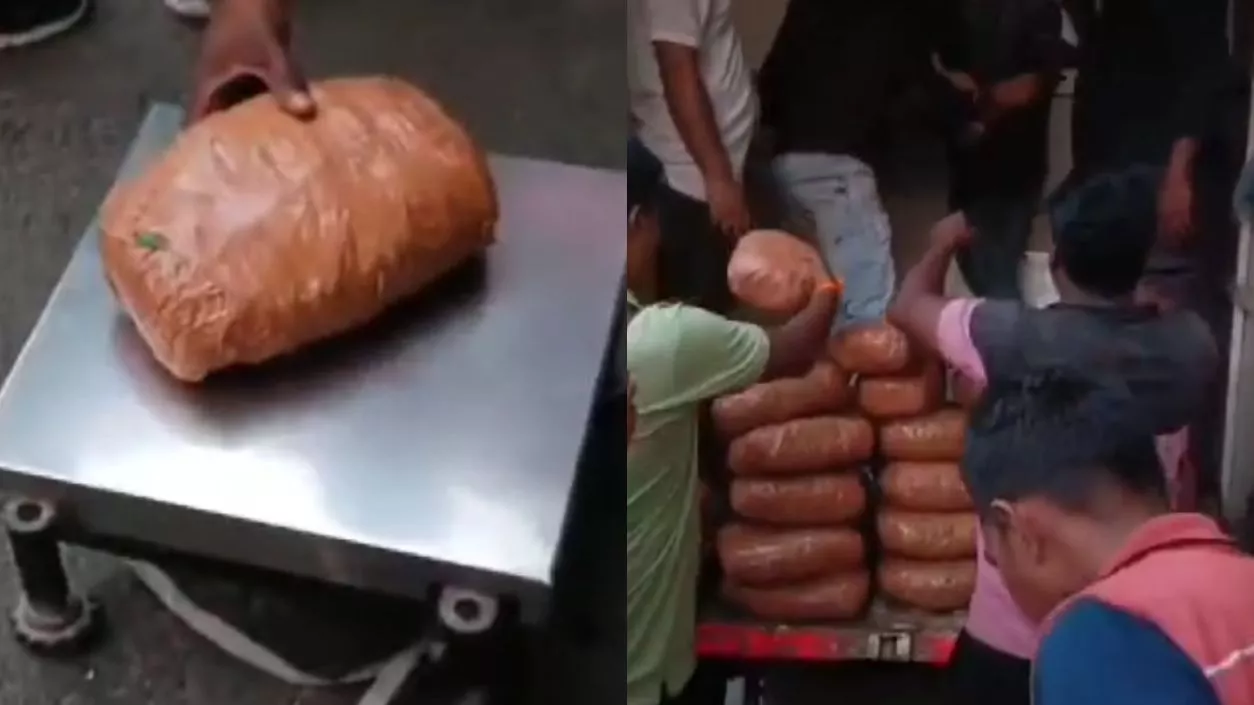 Ganja worth crores seized in Bengal, smugglers used fish crates for concealment