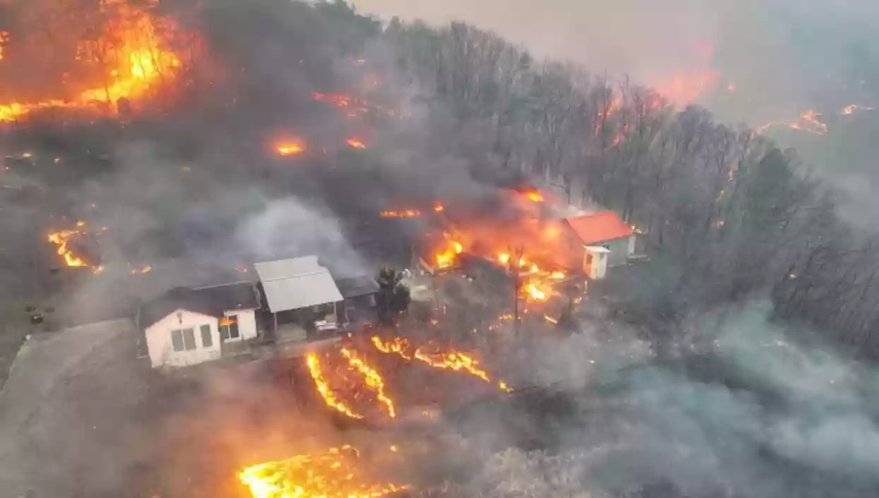 At least 24 dead as ‘unprecedented’ wildfires ravage South Korea, thousands evacuated
