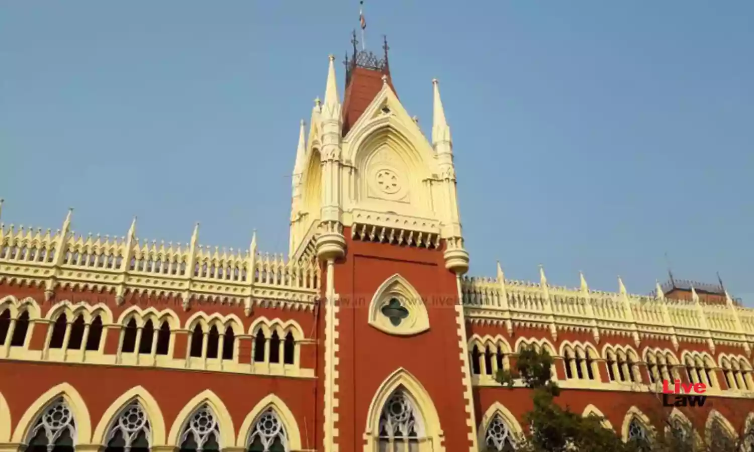 Calcutta HC demands action report from Malda SP & DM over Mothabari unrest