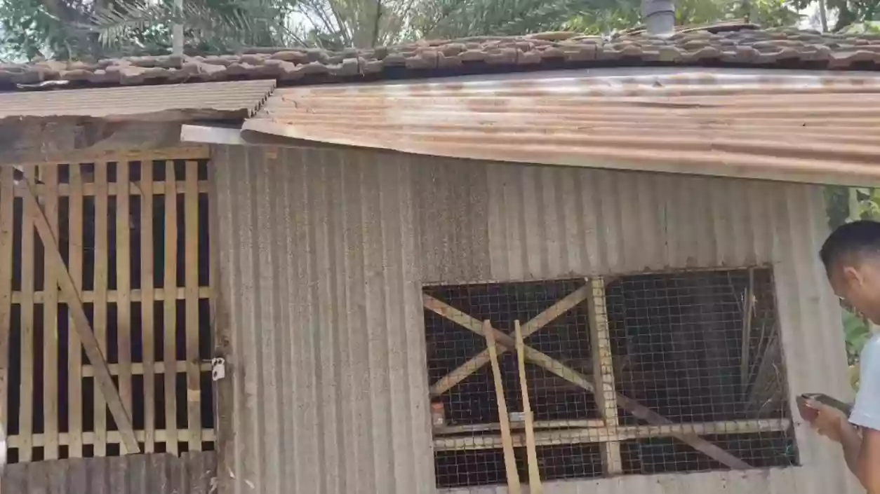 Bengal man kills wife with axe over suspected affair, attempts suicide after confessing to police